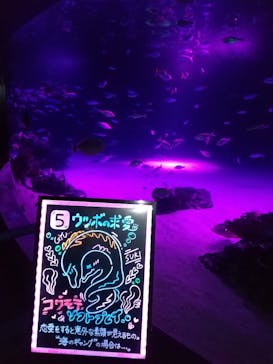 サンシャイン水族館に投稿された画像（2020/9/13）