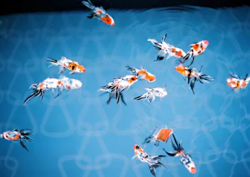 すみだ水族館に投稿された画像（2020/9/13）