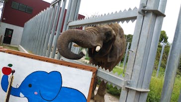 しろとり動物園に投稿された画像（2020/9/13）