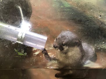 伊豆シャボテン動物公園に投稿された画像（2020/9/13）