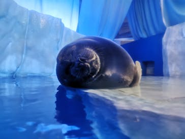 サンシャイン水族館に投稿された画像（2020/9/13）