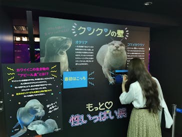 サンシャイン水族館に投稿された画像（2020/9/13）
