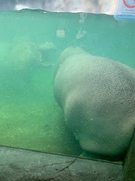 天王寺動物園に投稿された画像（2020/9/13）