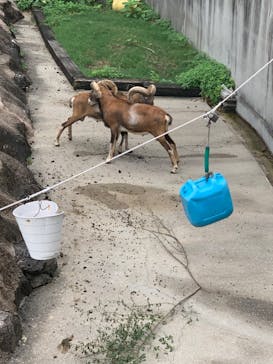 天王寺動物園に投稿された画像（2020/9/13）