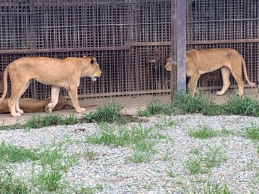 那須サファリパークに投稿された画像（2020/9/13）