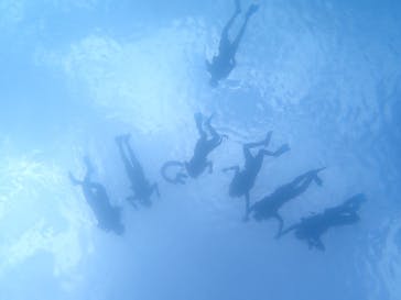 石垣島 ADVENTURE PiPi（イシガキジマアドベンチャーピピ）に投稿された画像（2020/9/13）