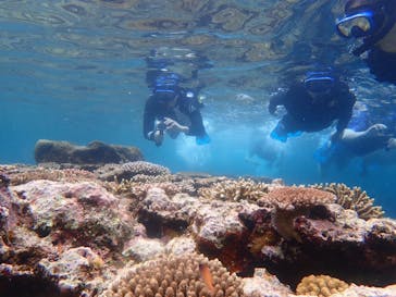 石垣島 ADVENTURE PiPi（イシガキジマアドベンチャーピピ）に投稿された画像（2020/9/13）