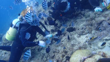 武藤潜水に投稿された画像（2020/9/13）