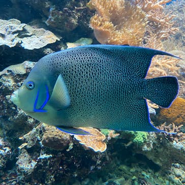 株式会社Gに投稿された画像（2020/9/13）