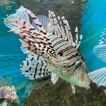 株式会社Gに投稿された画像（2020/9/13）