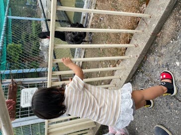 天王寺動物園に投稿された画像（2020/9/13）