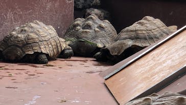 株式会社Gに投稿された画像（2020/9/13）