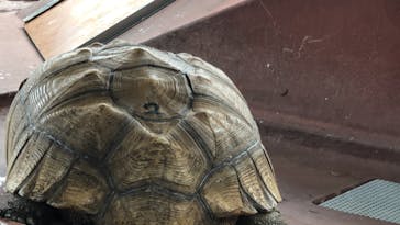 株式会社Gに投稿された画像（2020/9/13）