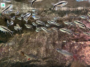 サンシャイン水族館に投稿された画像（2020/9/13）