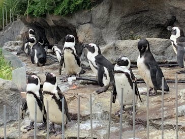 サンシャイン水族館に投稿された画像（2020/9/13）