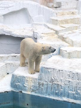 天王寺動物園に投稿された画像（2020/9/13）