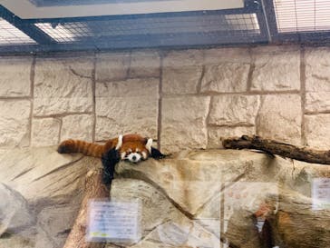 天王寺動物園に投稿された画像（2020/9/13）