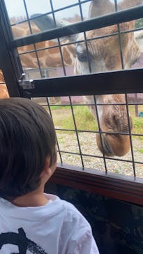 那須サファリパークに投稿された画像（2020/9/13）