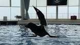 アクアワールド茨城県大洗水族館に投稿された画像（2020/9/13）