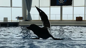 アクアワールド茨城県大洗水族館に投稿された画像（2020/9/13）