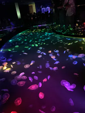 すみだ水族館に投稿された画像（2020/9/13）