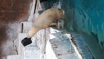 天王寺動物園に投稿された画像（2020/9/13）