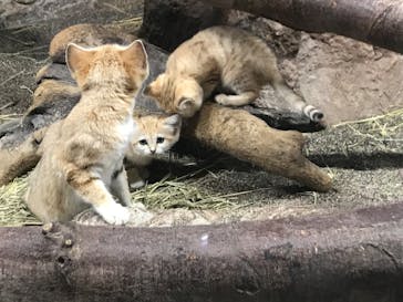 那須どうぶつ王国に投稿された画像（2020/9/13）