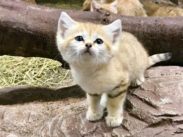 那須どうぶつ王国に投稿された画像（2020/9/13）