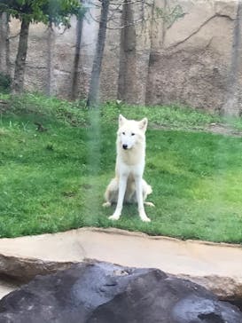 那須どうぶつ王国に投稿された画像（2020/9/13）