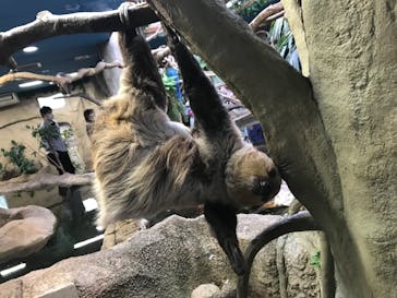 那須どうぶつ王国に投稿された画像（2020/9/13）