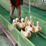 別府ケーブルラクテンチに投稿された画像（2020/9/13）