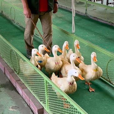 別府ケーブルラクテンチに投稿された画像（2020/9/13）