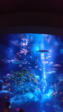すみだ水族館に投稿された画像（2020/9/13）