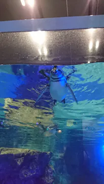 すみだ水族館に投稿された画像（2020/9/13）