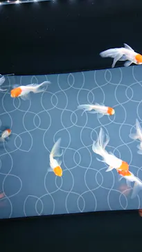 すみだ水族館に投稿された画像（2020/9/13）