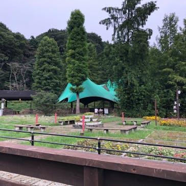 わんダフルネイチャーヴィレッジに投稿された画像（2020/9/13）