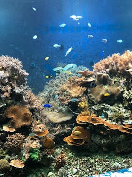 株式会社Gに投稿された画像（2020/9/13）