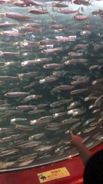 株式会社Gに投稿された画像（2020/9/13）