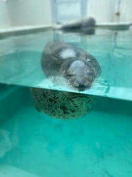 株式会社Gに投稿された画像（2020/9/13）