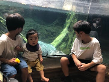 天王寺動物園に投稿された画像（2020/9/13）