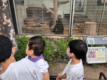 天王寺動物園に投稿された画像（2020/9/13）
