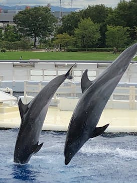 京都水族館に投稿された画像（2020/9/13）