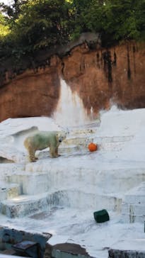 天王寺動物園に投稿された画像（2020/9/13）