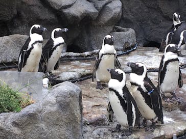 サンシャイン水族館に投稿された画像（2020/9/13）