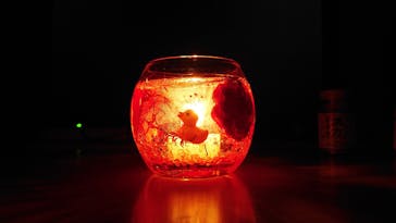 ずこうしつ〜sugamo〜に投稿された画像（2020/9/13）