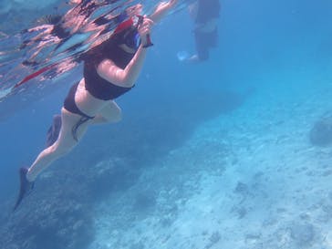 石垣島 ADVENTURE PiPi（イシガキジマアドベンチャーピピ）に投稿された画像（2020/9/13）