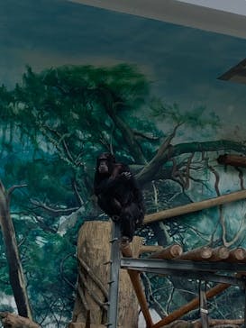 天王寺動物園に投稿された画像（2020/9/13）