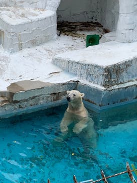 天王寺動物園に投稿された画像（2020/9/13）