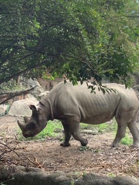 天王寺動物園に投稿された画像（2020/9/13）