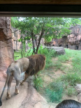 天王寺動物園に投稿された画像（2020/9/13）